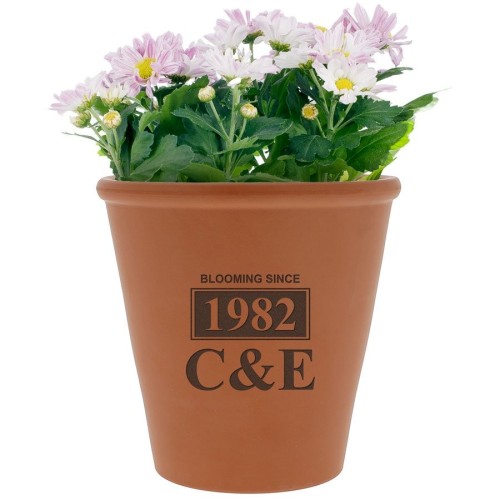 Brown ceramic flower pot