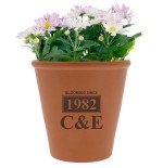 Brown ceramic flower pot