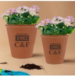 Brown ceramic flower pot